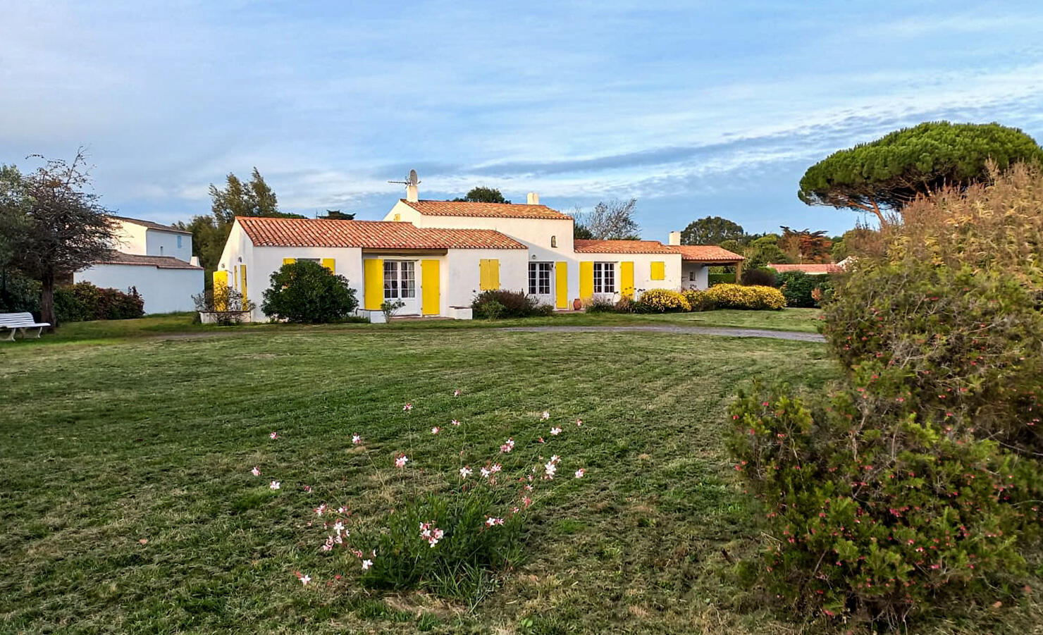 Das Haus im Frühsommer